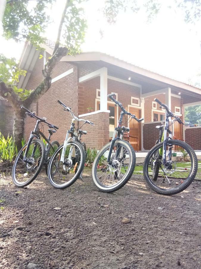 Genthong Homestay Magelang Eksteriør bilde