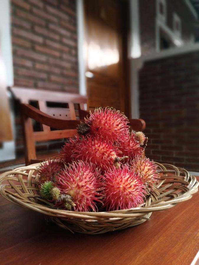 Genthong Homestay Magelang Eksteriør bilde
